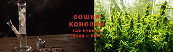 PSILOCYBIN Богородск