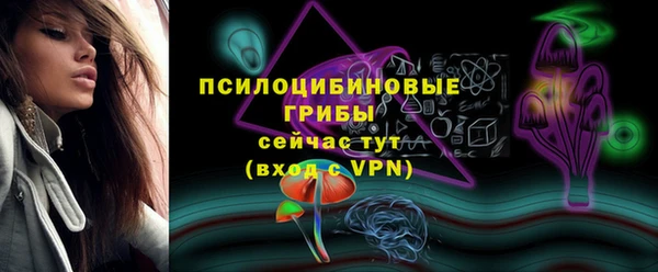PSILOCYBIN Богородск