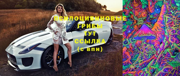 эйфоретик Богородицк