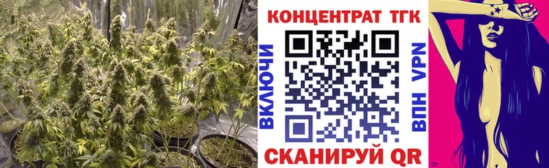 Купить  Орлов  Дистиллят ТГК вейп 